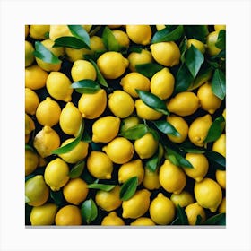 Lemons On A Black Background 1 Canvas Print