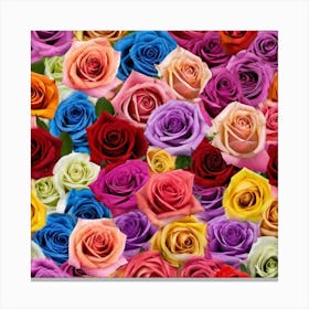 Colorful Roses 52 Canvas Print