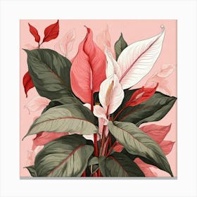 Pink And Red Plant Illustration Peace Lily Art Print 3 Canvas Print