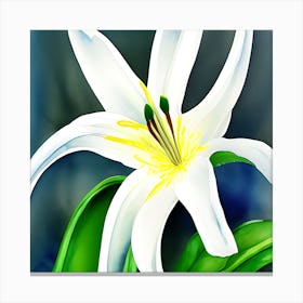 White Lilly 2 Canvas Print