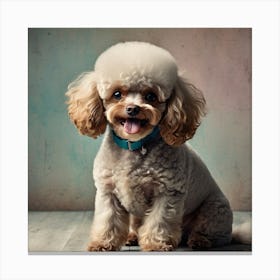 Poodle Dog Portrait 1 Canvas Print