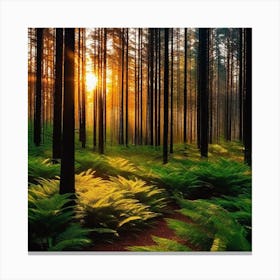 Sunrise In The Forest 26 Canvas Print