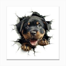 Rottweiler Puppy Canvas Print