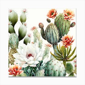 Flowering Cacti C Canvas Print