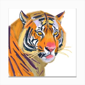 Sumatran Tiger 03 Canvas Print