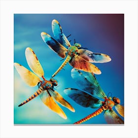 Dragonflies In Flight Canvas Print