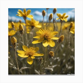 Yellow Wildflowers 1 Canvas Print