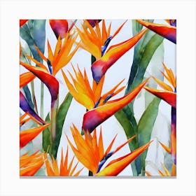 Bird Of Paradise Canvas Print