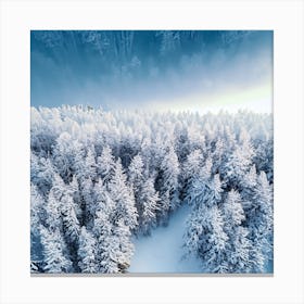 Aerial View Of Snowy Forest 2 Canvas Print