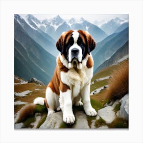 St Bernard Dog 60 Canvas Print