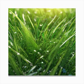 Green Grass With Water Droplets 4 Canvas Print