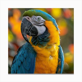 Parrot 9 Canvas Print