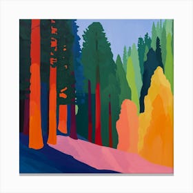 Colourful Abstract Sequoia National Park Usa 2 Canvas Print