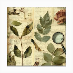 Vintage Herbarium Of Love 10 Toile