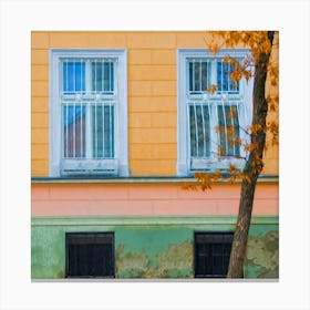 Windows And A Tree Of Autumn Square Canvas Print