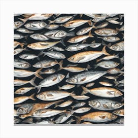 Sardines Canvas Print