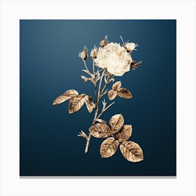 Gold Botanical White Provence Rose on Dusk Blue n.1466 Canvas Print