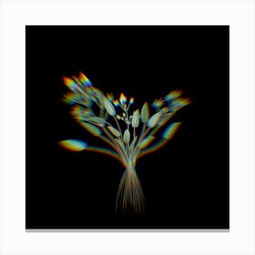 Prism Shift Starfruit Botanical Illustration on Black Canvas Print