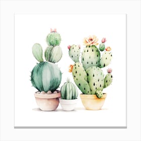 Prickly Little Cacti Canvas Print