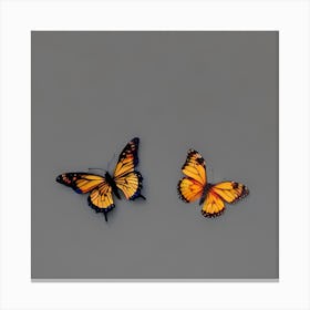 Butterfly - Butterfly Stock Videos & Royalty-Free Footage 4 Canvas Print