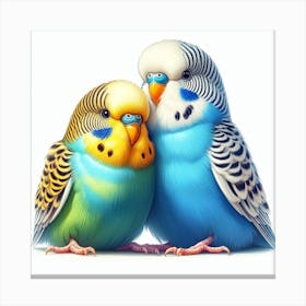 Budgerigars 2 Canvas Print