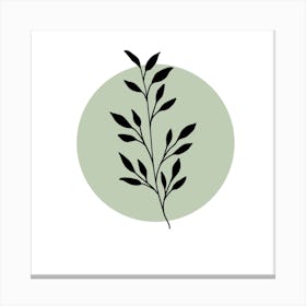 Leaf In A Circle Canvas Print