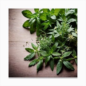 Fresh Herbs On Wooden Table Canvas Print