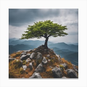 Lone Tree 2 Canvas Print