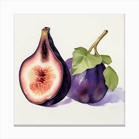 Watercolor Figs Canvas Print
