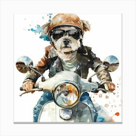 Dog On A Moped Canvas Print