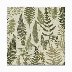 Ferns 3 Canvas Print