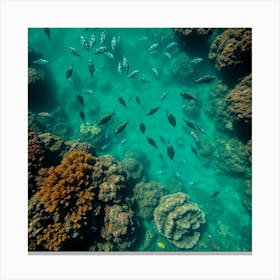 Great Barrier reef 70 Canvas Print