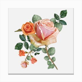 Heirloom Roses Bouquet Canvas Print