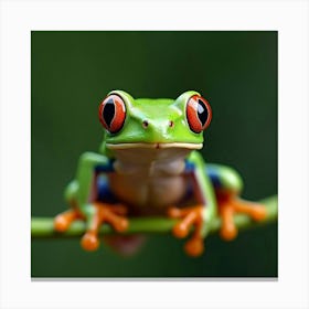 A Charming Red Eyed Tree Frog Sitting On A Leaf 1 Canvas Print