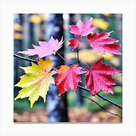 Red maple leafs Canvas Print