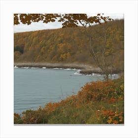 St John'S Bay Canvas Print