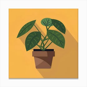 Potted Plant 4 Canvas Print