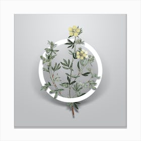 Vintage Yellow Buttercup Flowers Minimalist Floral Geometric Circle on Soft Gray n.0058 Canvas Print