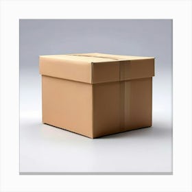 Cardboard Box 5 Canvas Print