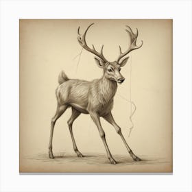 Deer! 30 Canvas Print