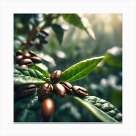 Coffee Beans On A Tree 63 Canvas Print