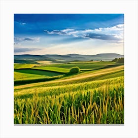 Grass German Cultivate Commercial Ecology Plant Sun Day Cultivated Scene Green Flying Pa (10) Canvas Print