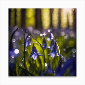 Dancing Light on Delicate Woodland Bluebells Canvas Print