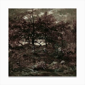 Forest Scene 1 Canvas Print