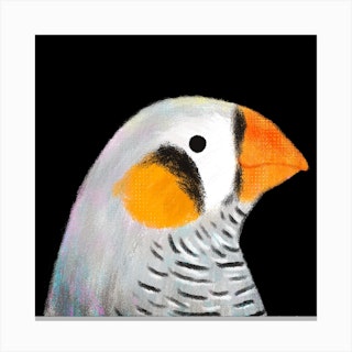 Zebra Finch Bird Square Canvas Print