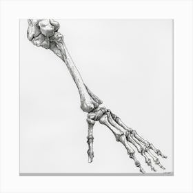 Skeleton Hand Canvas Print