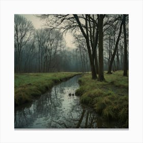 Stream In A Forest Canvas Print