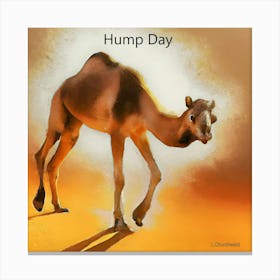 Hump Day Canvas Print