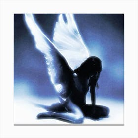 Fallen Angel Canvas Print
