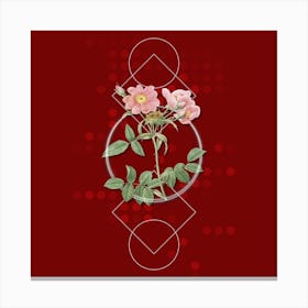 Vintage Lady Monson Rose Bloom Botanical with Geometric Line Motif and Dot Pattern n.0111 Canvas Print
